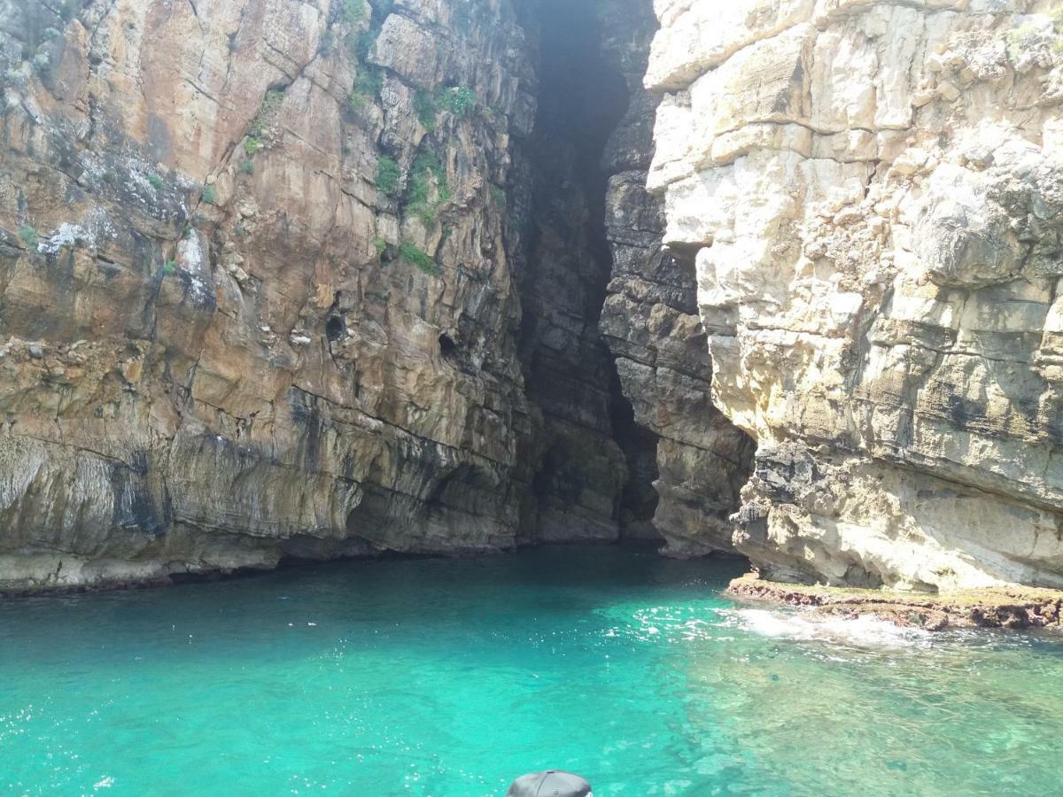 Maui Alcamo